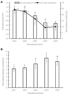 Response of the fine root morphological and chemical traits of Tamarix chinensis to water and salt changes in coastal wetlands of the Yellow River Delta